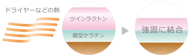 心地よい髪質(補修&キューティクル保護膜形成)