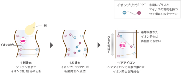 イオンブリッジPPT