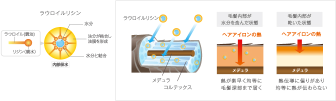 ラウロイルリシン