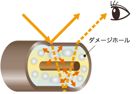 ダメージ毛