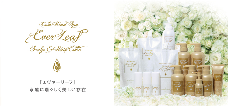 コタ株式会社 | PRODUCTS | エヴァーリーフ