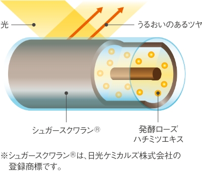 シュガースクワラン®によるツヤの仕組み