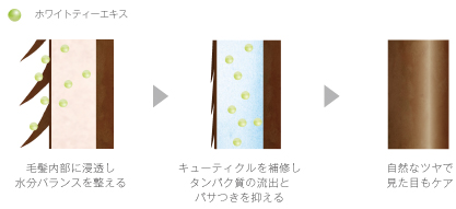 コタ株式会社 Products コタスタイリング コタ株式会社 Products コタスタイリング