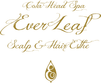 Cota Head Spa Ever Leaf Scalp & Hair Esthe
