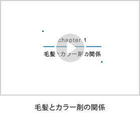 毛髪とカラー剤の関係