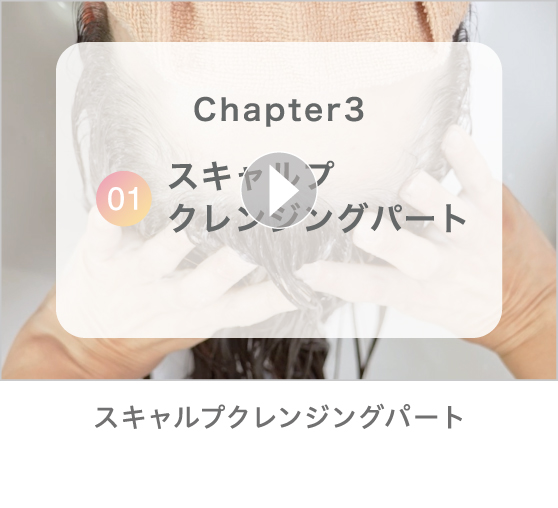 Chapter3