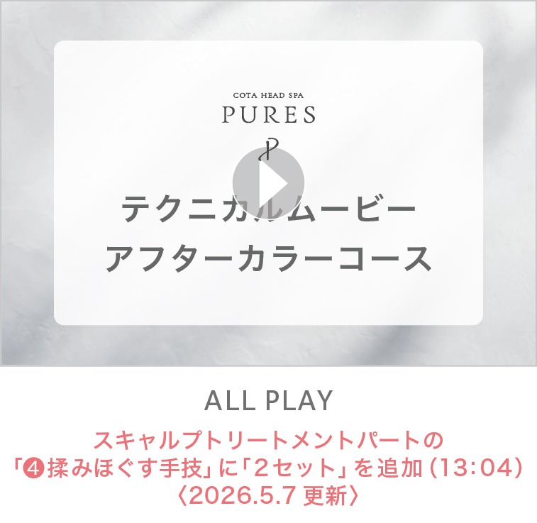 ALL PLAY