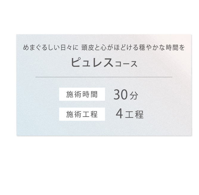 コース詳細メニューピュレス編