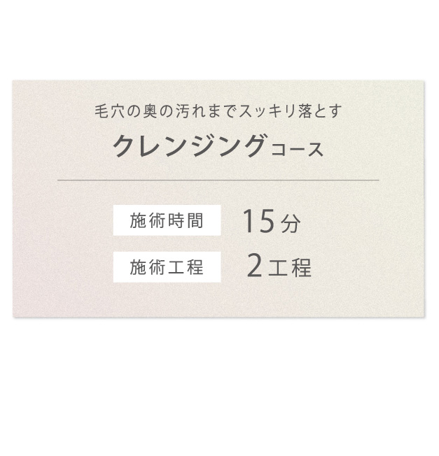 コース詳細メニュークレンジング編