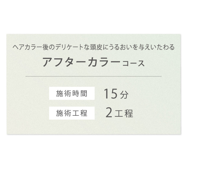 コース詳細メニューアフターカラー編