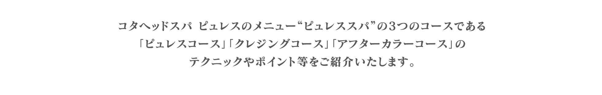 プテクニックやポイント等をご紹介いたします。
