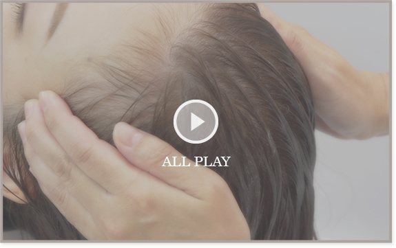 コタ　エバーリーフ コタエヴァーリーフ：アズヘアーが贈る美髪への鍵 | A'zhair