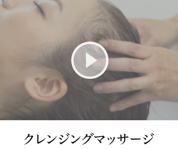 コタ　エバーリーフ COTAエヴァーリーフ - 株式会社クロサキ